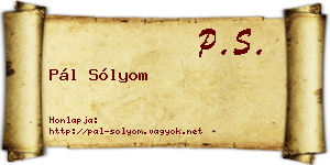 Pál Sólyom névjegykártya